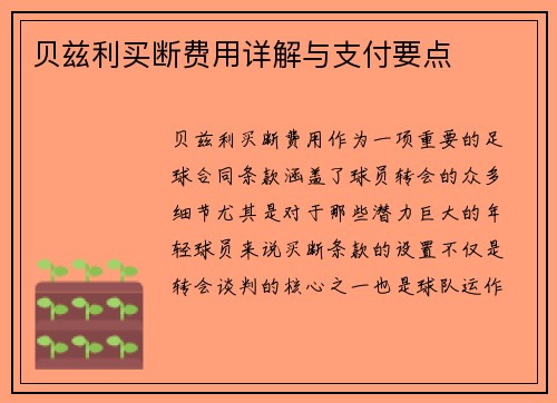 贝兹利买断费用详解与支付要点