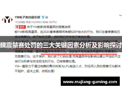 魏震禁赛处罚的三大关键因素分析及影响探讨