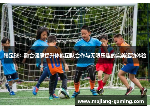 踢足球：融合健康提升体能团队合作与无限乐趣的完美运动体验
