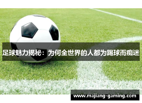 足球魅力揭秘：为何全世界的人都为踢球而痴迷