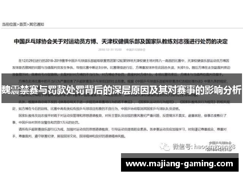 魏震禁赛与罚款处罚背后的深层原因及其对赛事的影响分析